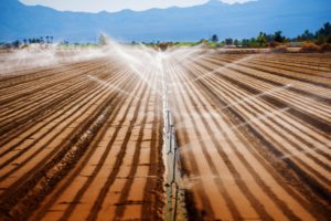 California Agriculture. Soil Watering Irrigation System. Agriculture Theme